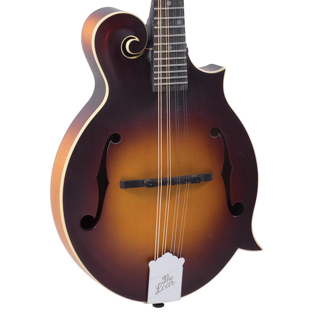 Amazon.com: The Loar LM-590-MS Contemporary Series F-Style